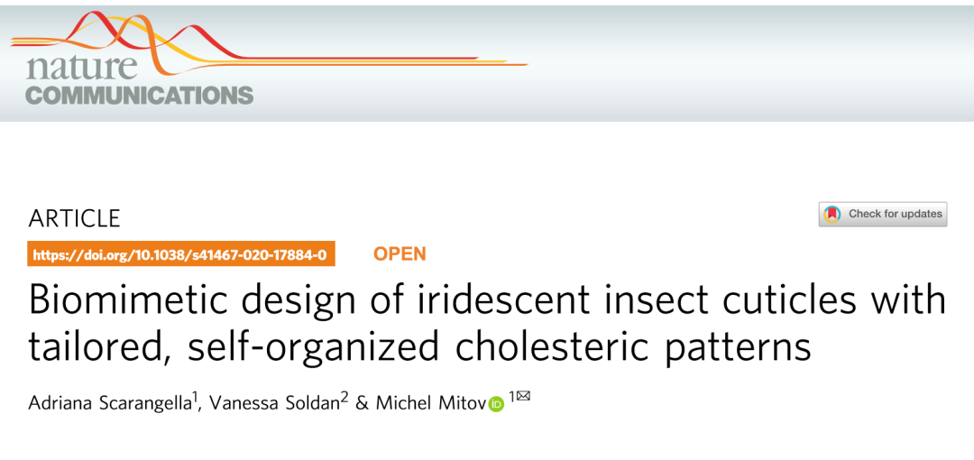 《Nature》子刊：仿昆蟲表皮的膽甾型圖案設(shè)計用于密碼學(xué)標(biāo)簽！