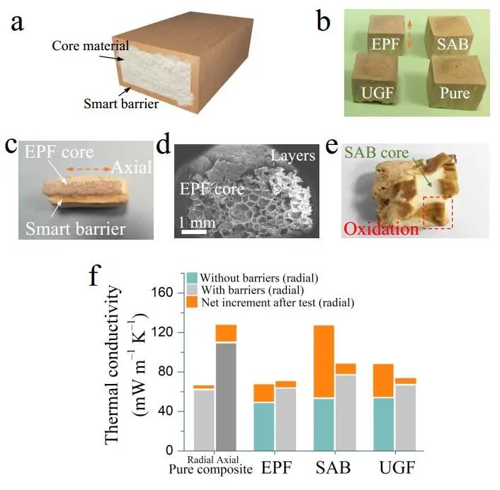 江漢大學(xué)曹一平《ACS Nano?》：仿生新成果！響應(yīng)空氣-水的復(fù)合材料，具有優(yōu)異的隔熱、自修復(fù)和自生長能力