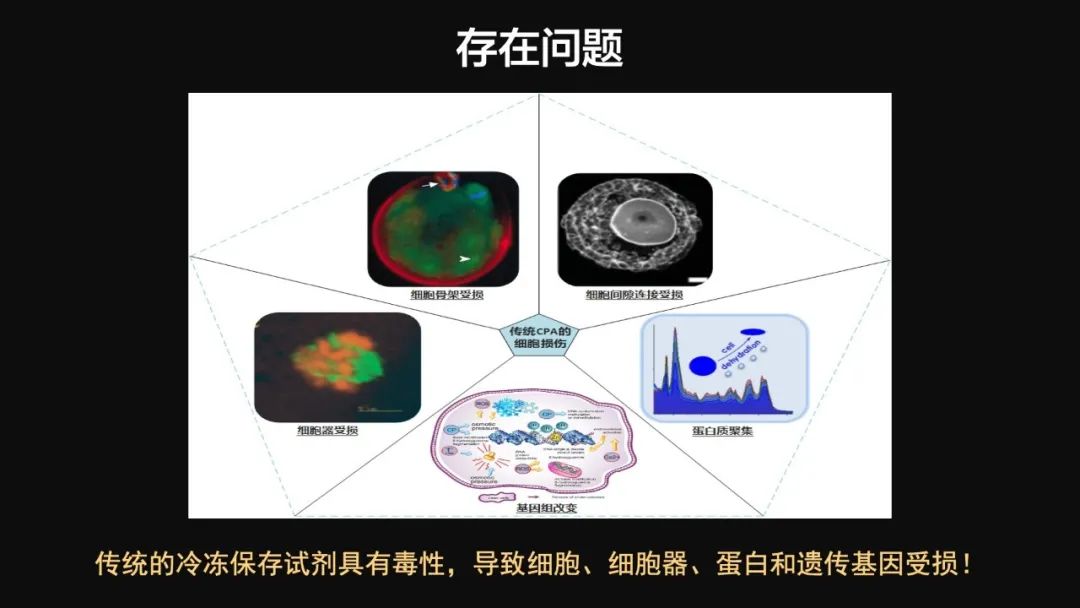 王健君：實(shí)證百年科學(xué)猜想，人體凍存未來(lái)可期