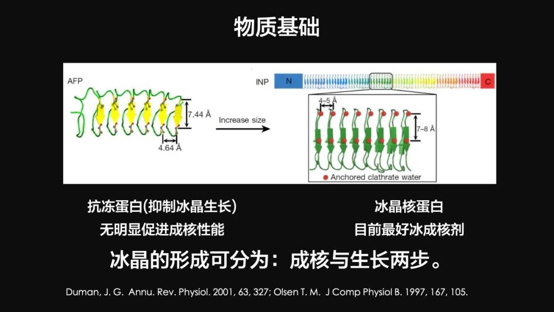 王健君：實(shí)證百年科學(xué)猜想，人體凍存未來(lái)可期