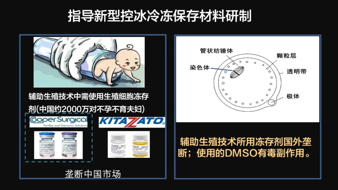 王健君：實(shí)證百年科學(xué)猜想，人體凍存未來(lái)可期