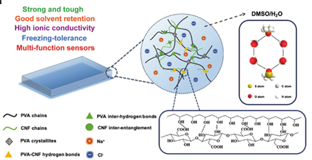 《AFM》：纖維素納米纖維增強(qiáng)離子導(dǎo)電水凝膠：制備簡(jiǎn)單，應(yīng)用前景廣泛