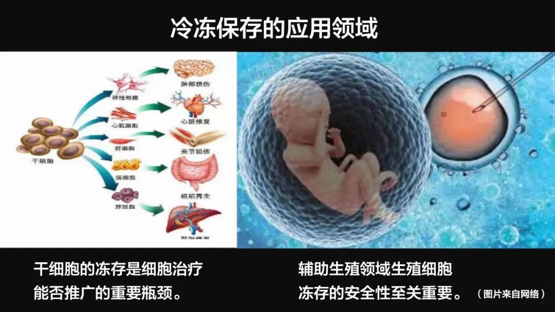 王健君：實(shí)證百年科學(xué)猜想，人體凍存未來(lái)可期