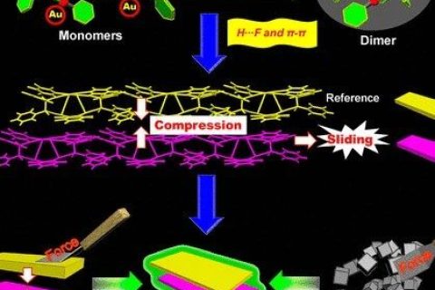 控制AIEgen晶體的分子運(yùn)動，實(shí)現(xiàn)力致發(fā)光