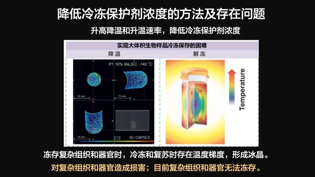 王健君：實(shí)證百年科學(xué)猜想，人體凍存未來(lái)可期