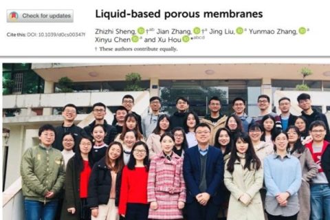 廈門大學(xué)侯旭課題組綜述：液基多孔膜，微納孔道藏世界，液體門控通乾坤！