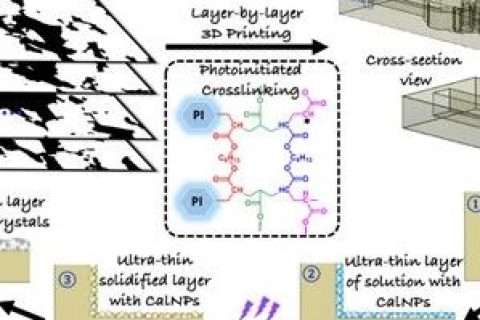 《Soft Matter》：利用微尺度3D打印和礦物涂層技術(shù)助力功能性微流控研究