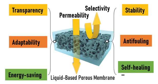 廈門大學侯旭課題組綜述：液基多孔膜，微納孔道藏世界，液體門控通乾坤！