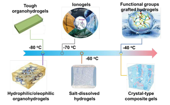 ?如何讓水凝膠不畏嚴(yán)寒？《Mater. Horiz.》綜述：在寒冷環(huán)境中保持軟濕材料活性的仿生防凍聚合物水凝膠