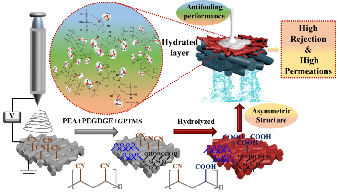 哈工大(威海)張瑛潔教授團(tuán)隊(duì)在超親水膜制備領(lǐng)域取得最新進(jìn)展