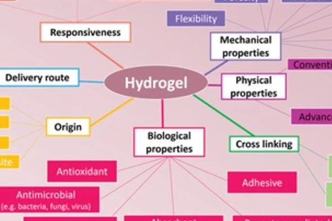 生物醫(yī)學水凝膠怎么選？先進的納米/水凝膠在生物醫(yī)學中的潛在應用：靜態(tài)，動態(tài)，多級和生物啟發(fā)