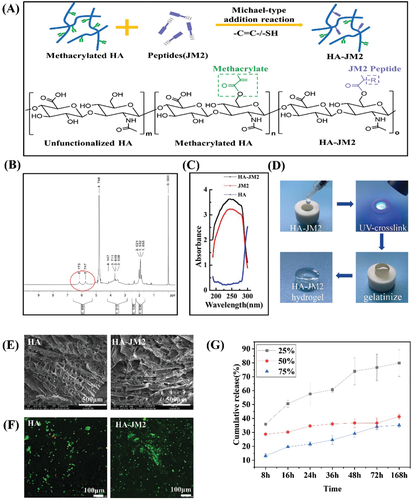 不懼腫瘤術(shù)后復(fù)發(fā)！上交大李海燕《AFM》：用于內(nèi)部組織修復(fù)和抗術(shù)后粘連的Janus水凝膠濕粘合劑，