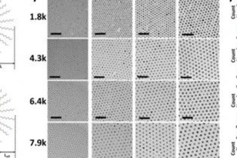 韓國科學(xué)技術(shù)院《ACS Nano》：手把手教你花樣制備納米粒子！