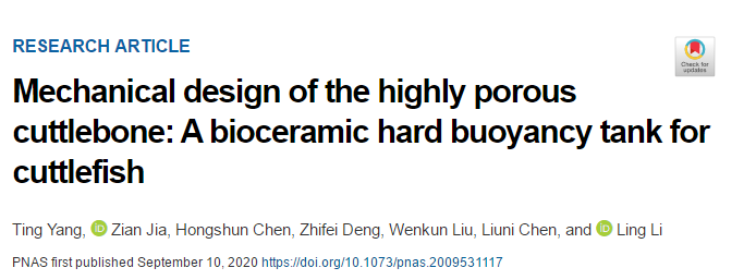 吃墨魚發(fā)了一篇頂刊《PNAS》！墨魚骨的秘密被揭開！