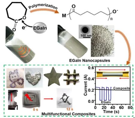 青島能源所李朝旭團隊《AM》:利用液態(tài)金屬引發(fā)開環(huán)聚合制備多功能液態(tài)金屬納米膠囊