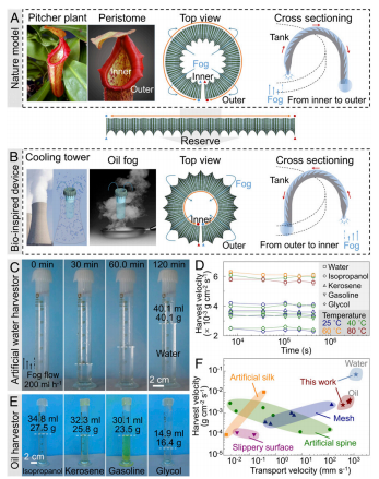 江雷院士、董智超《PNAS》：仿豬籠草結(jié)構(gòu)表面可在潮濕環(huán)境中連續(xù)收集和輸送水