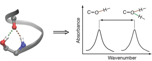 《JACS》： 多重氫鍵的定量分析！