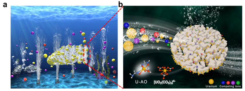 中科院上海應(yīng)物所《JMCA》：海水提鈾取得新進(jìn)展！