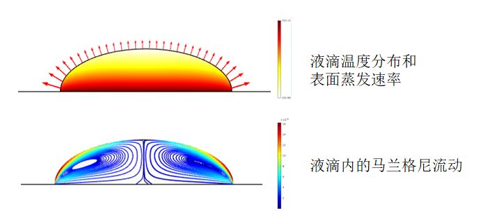 從六大領(lǐng)域數(shù)十篇頂刊，看仿真模擬到底可以用來做什么？