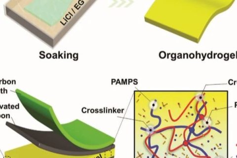 電子設(shè)備怕凍又怕燙怎么辦？中南大學《AFM》：長期抗凍抗干的柔性超級電容器！