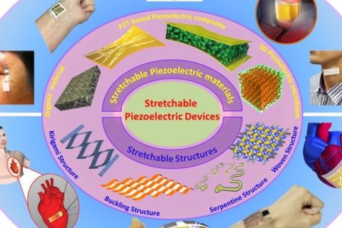 西工大于慶民/PSU程寰宇、廖亞斌合作：新型可延展壓電材料最新進(jìn)展
