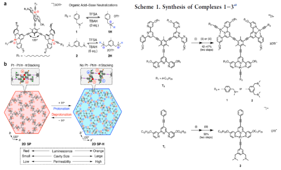 任詠華院士團隊《JACS》：首個二維超分子智能聚合物