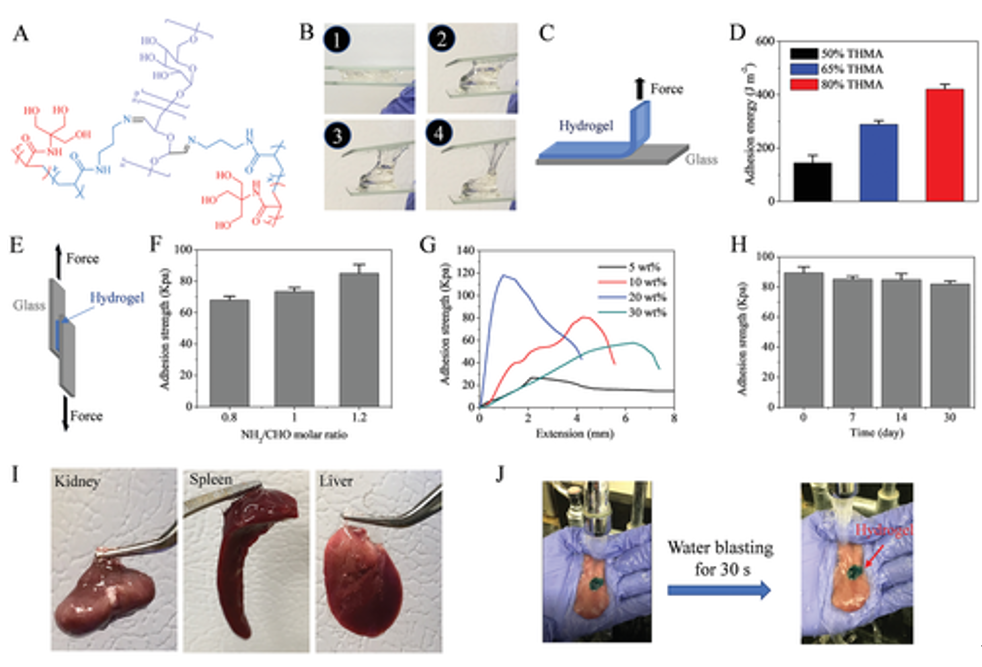 沒有化學(xué)反應(yīng)也能粘合！《AM》：具有“分擔(dān)負(fù)荷”作用的粘性水凝膠，可作為組織繃帶用于藥物和細(xì)胞的輸送。