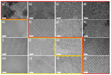 韓國科學(xué)技術(shù)院《ACS Nano》：手把手教你花樣制備納米粒子！