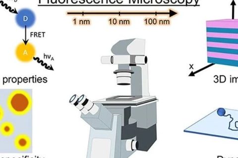 百年高分子系列：熒光技術在高分子的應用和展望