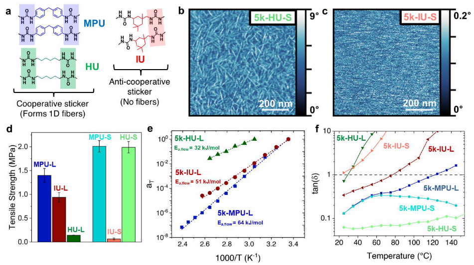 短的比長的好！鮑哲南院士《JACS》：基于新型多位點柔性高分子自組裝單元的納米纖維