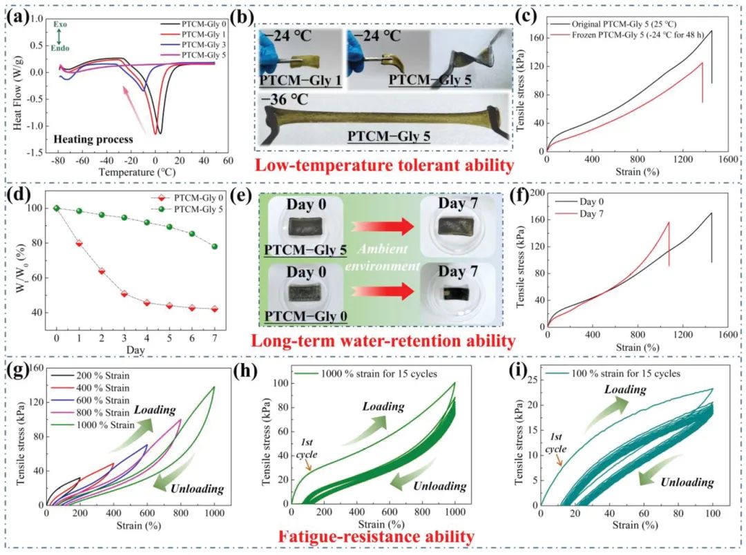 華南理工大學陳港團隊《AFM》：MXene基抗凍超穩(wěn)定導電有機水凝膠