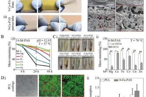 康奈爾大學王亞冬團隊《AM》：螯合交聯制備生物可降解彈性體