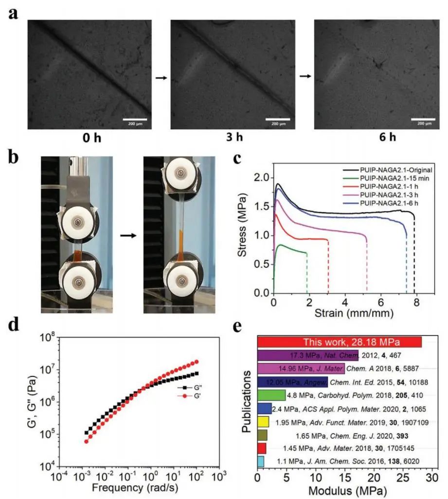 天津大學(xué)劉文廣教授、楊建海副教授團隊《AFM》：基于多重氫鍵擴鏈劑的自愈合聚氨酯：從超剛性彈性體到無溶劑型熱熔膠和AIE熒光涂層