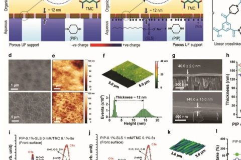 ?當前最高的離子截留率99.99%！《AFM》：超選擇性和高滲透性聚酰胺納米膜！