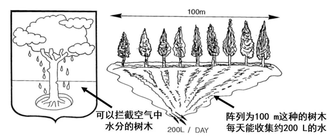 天津大學曹墨源：仿生霧水收集——向天空尋求解決淡水危機的方法