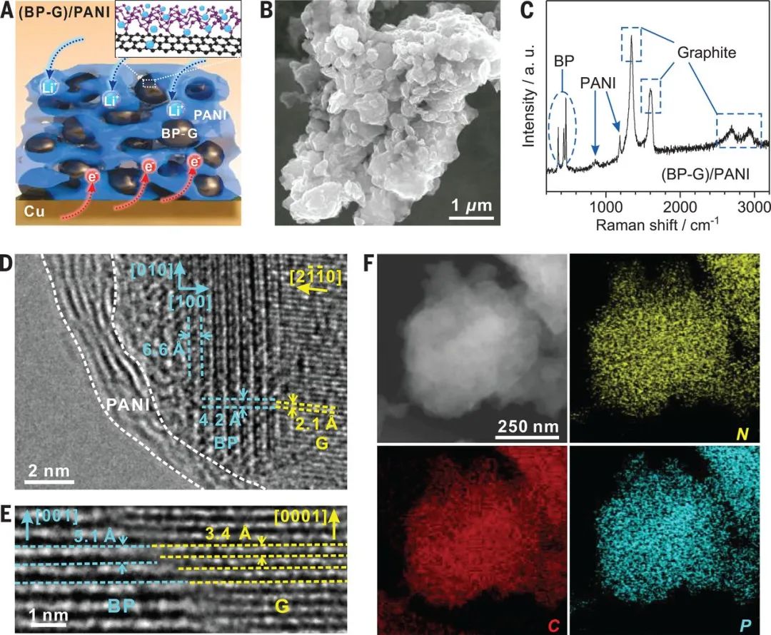 ?中科大季恒星、加州大學(xué)段鑲鋒《Science》: 二維材料新寵--黑磷復(fù)合陽(yáng)極實(shí)現(xiàn)高倍率大容量存儲(chǔ)鋰