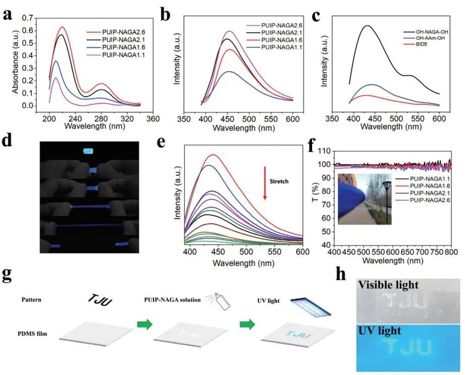 天津大學(xué)劉文廣教授、楊建海副教授團隊《AFM》：基于多重氫鍵擴鏈劑的自愈合聚氨酯：從超剛性彈性體到無溶劑型熱熔膠和AIE熒光涂層