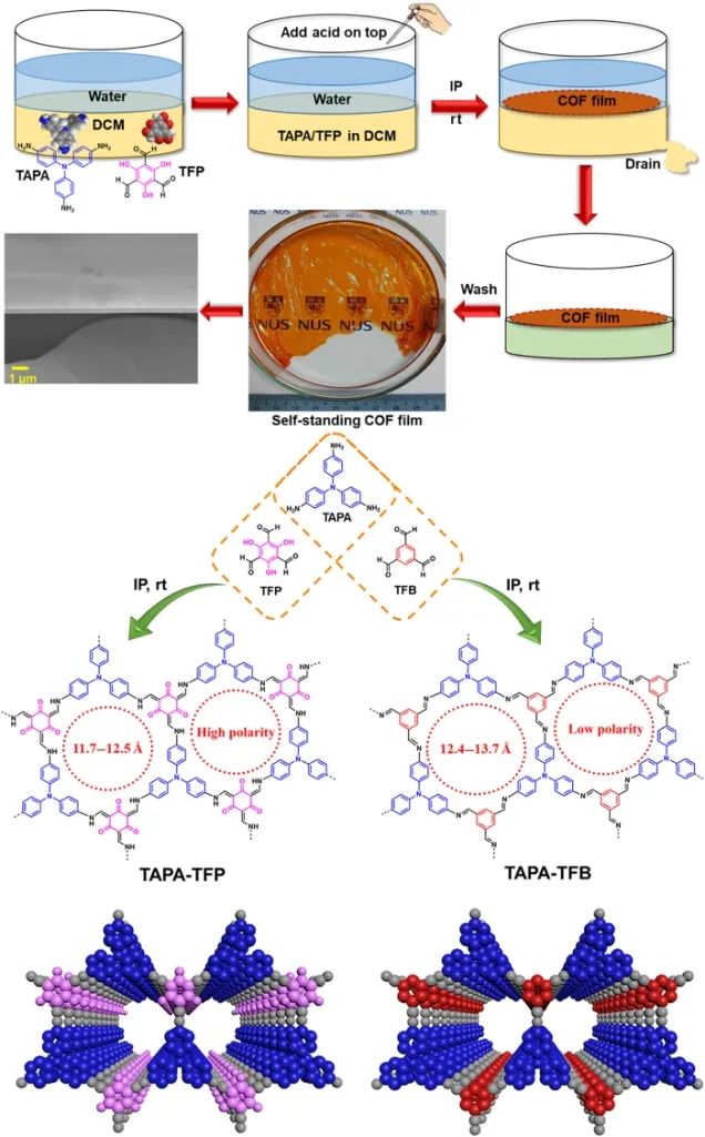 鐘臺生院士團隊《Science》子刊：雜質(zhì)無處遁形！高溶劑滲透率、柔性自支撐COF膜助力分子分離