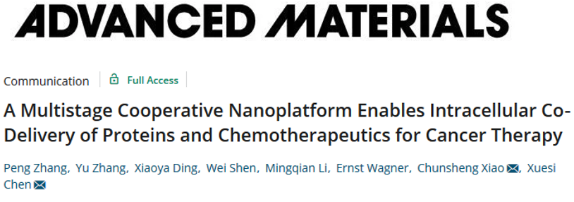 陳學(xué)思院士團隊《AM》： 構(gòu)建多級合作的納米平臺用于蛋白質(zhì)/化療藥物的胞內(nèi)共遞送
