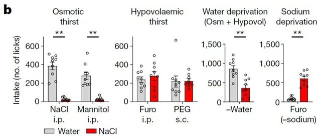 向優(yōu)秀看齊，南開大學本科生發(fā)《Nature》！