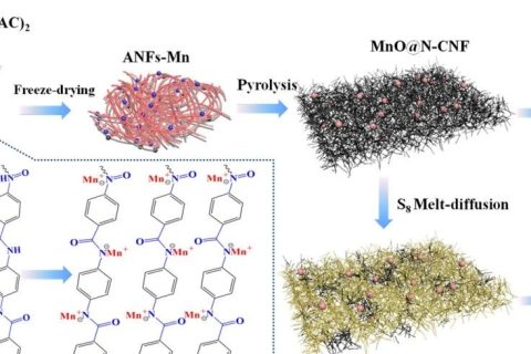 上海電力大學(xué)《JMCA》:如何簡(jiǎn)單有效地原位復(fù)合碳纖維和金屬納米顆粒？一種可用于超級(jí)電容器和鋰硫宿主的雙功能材料