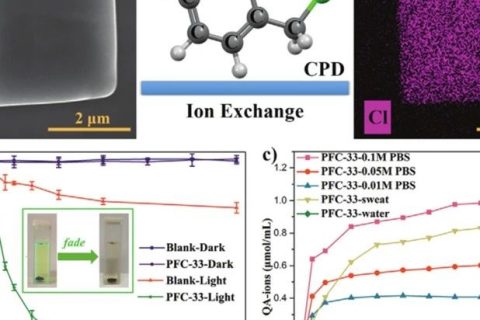 中科院福建物構(gòu)所劉天賦《AM》：氫鍵有機骨架應用新突破！可用于離子響應型抗菌膜！