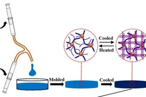 自抗菌、自粘附、可修復、可注射、耐酸耐堿的DN水凝膠粘附敷料