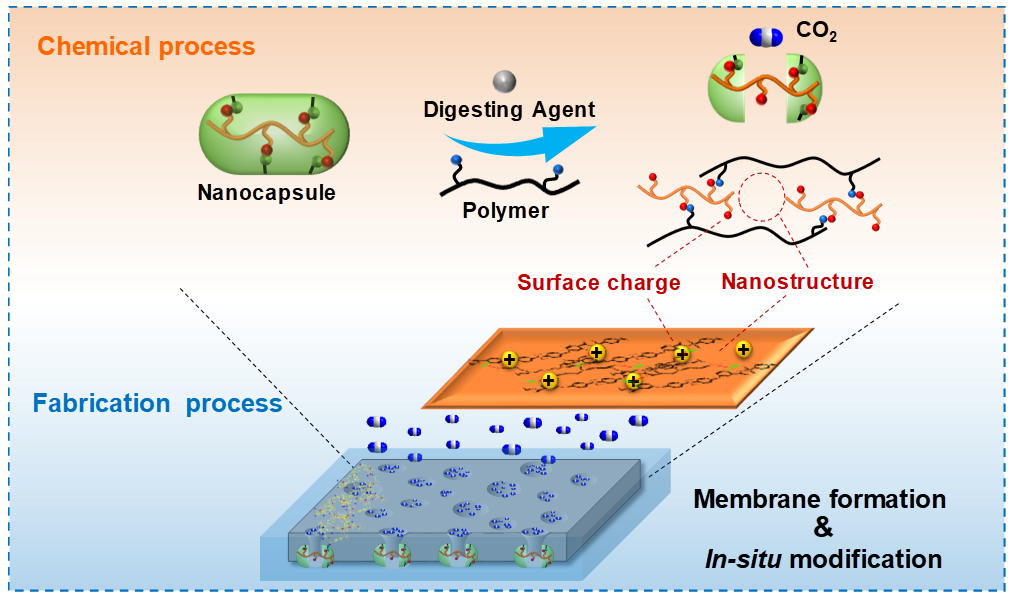 南京工業(yè)大學(xué)孫世鵬《Nano Letters》:“納米封裝”同步實現(xiàn)納濾膜的納米結(jié)構(gòu)構(gòu)筑和原位功能化