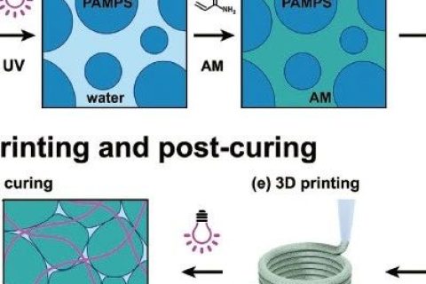 《AFM》：3D打印制造高強韌雙網(wǎng)絡顆粒水凝膠