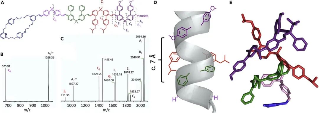 英國曼徹斯特大學(xué)Leigh院士《Chem》：分子機器精準(zhǔn)“生產(chǎn)”單序列低聚物