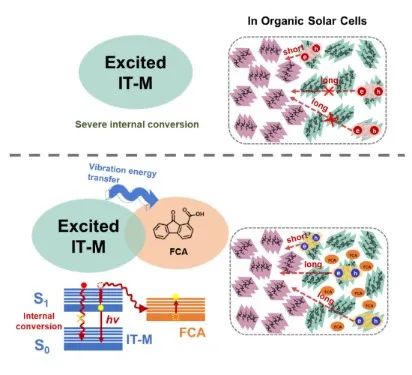 北京師范大學(xué)薄志山等《AM》：提高有機(jī)光伏電池性能的新途徑——延長(zhǎng)激子壽命、增加激子擴(kuò)散距離