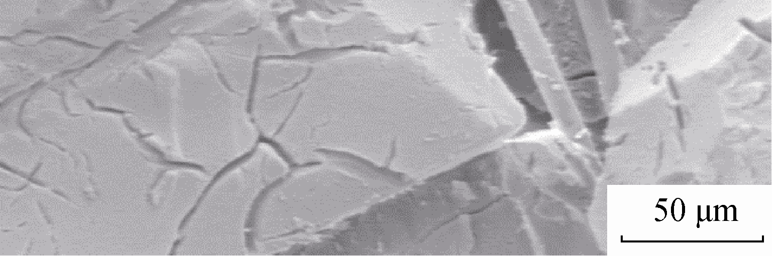 (b)Glass fiber as skeleton in the aerogel matrix