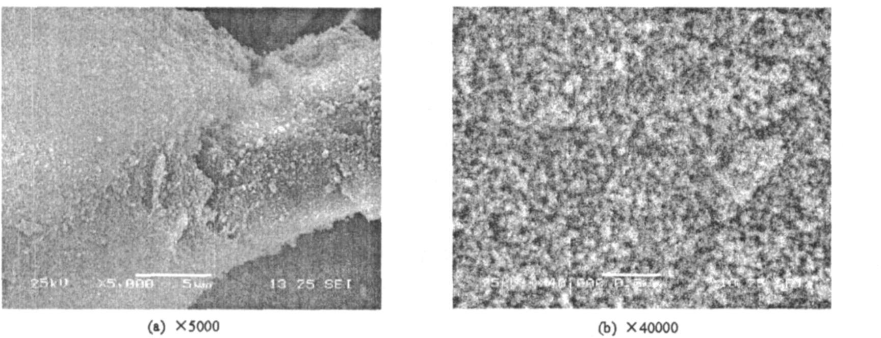 纖維增強(qiáng)SiO<sub>2</sub>氣凝膠隔熱復(fù)合材料的制備及其性能