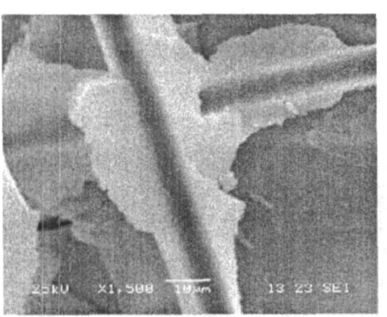 纖維增強(qiáng)SiO<sub>2</sub>氣凝膠隔熱復(fù)合材料的制備及其性能